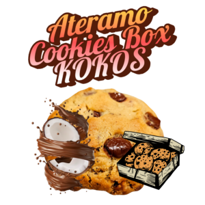 Ateramo Cookies Box KOKOS